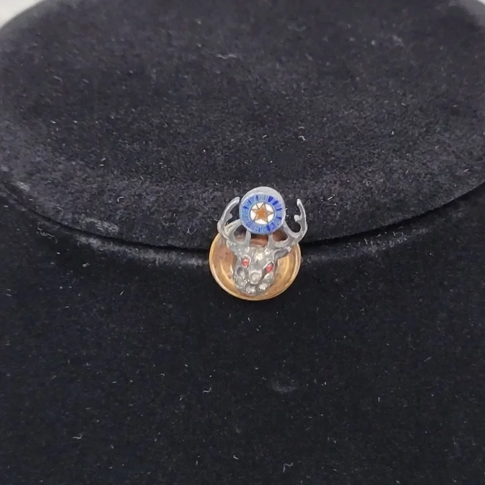 Benevolent & Protective Order of Elks Mini Lapel Pin B.P.O.E. Antique Vintage